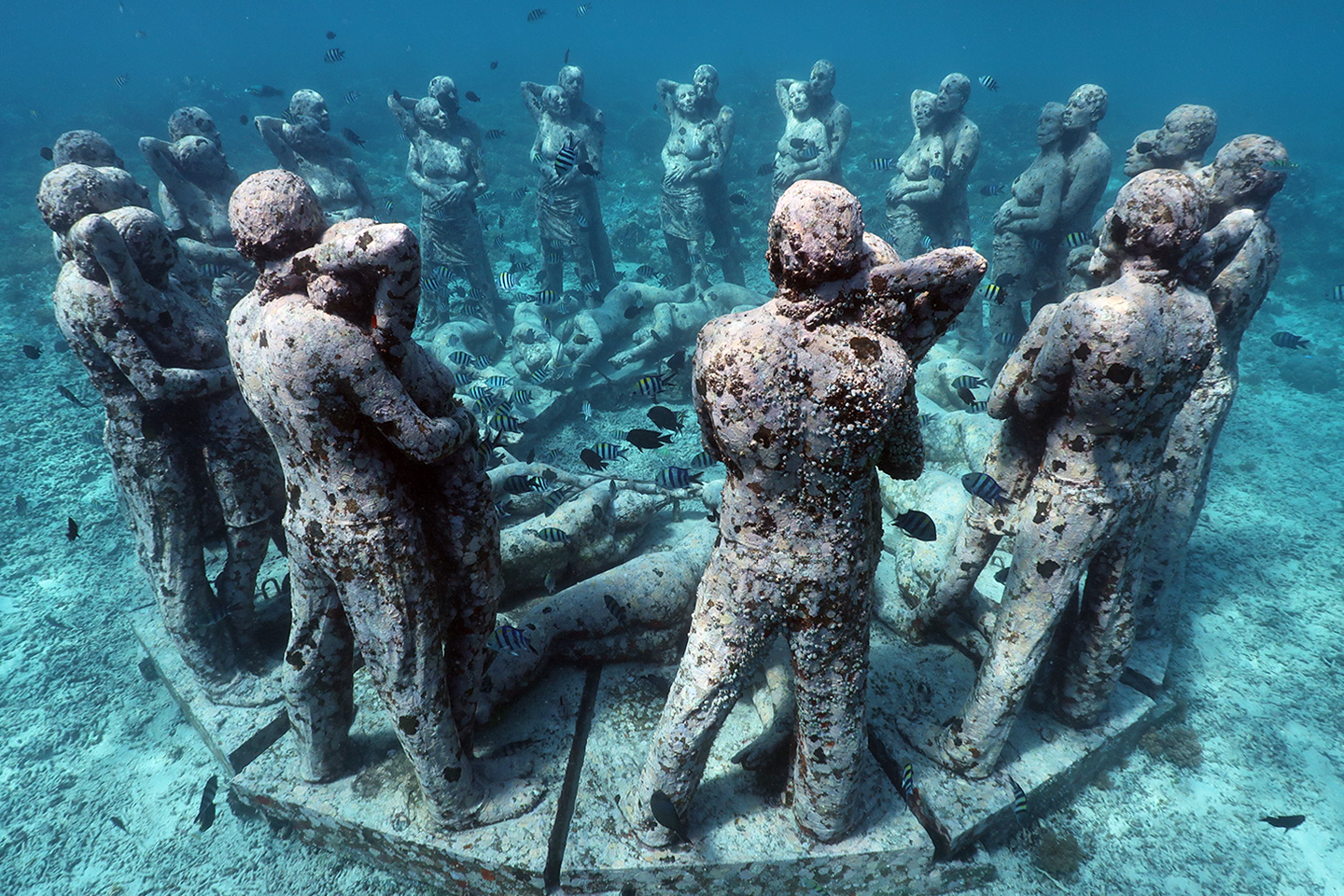 Discover Bali